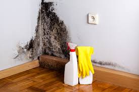 Reliable Keizer, OR Mold Removal & Remediation Solutions